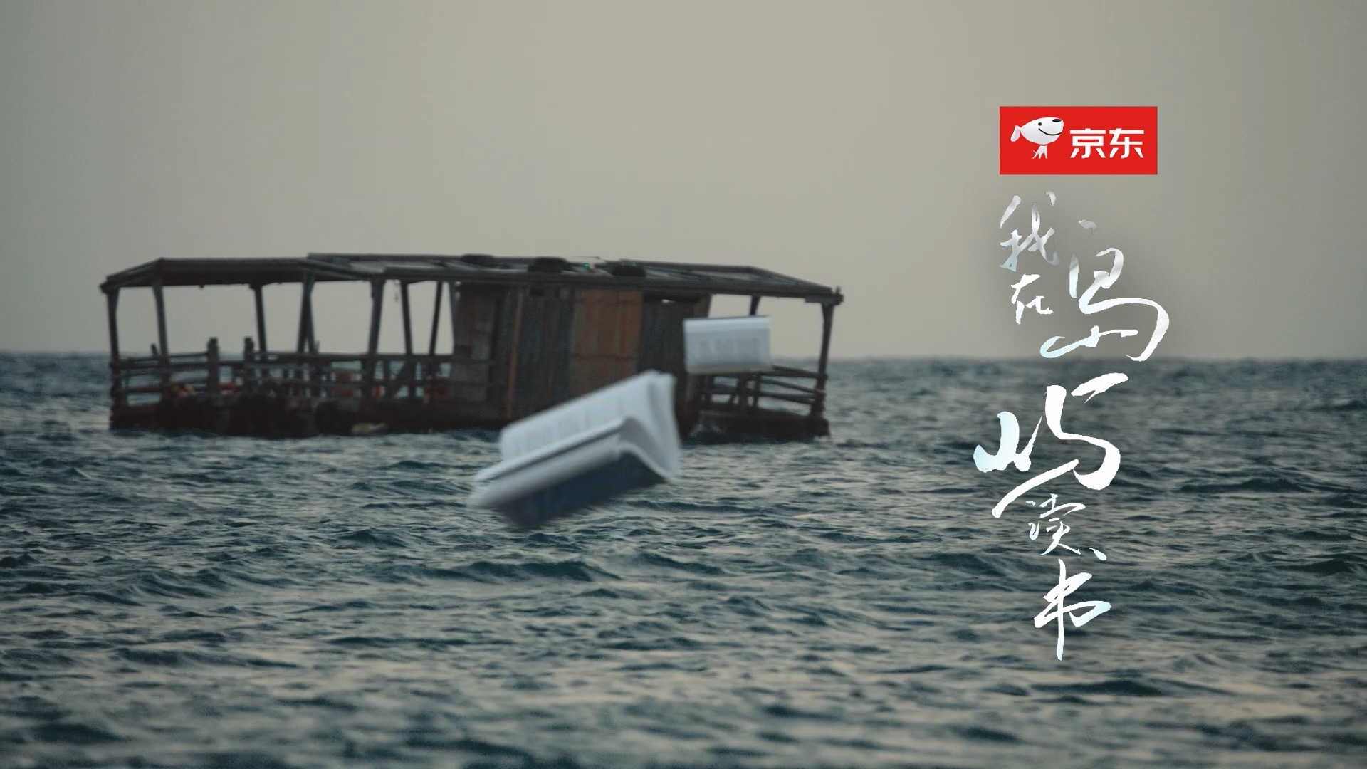 余华的邀请｜我在岛屿读书