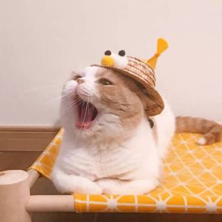 建新