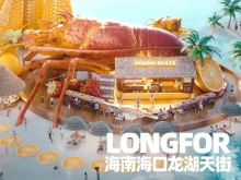 海南海口龙湖天街开业宣传片