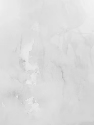 毛青兴