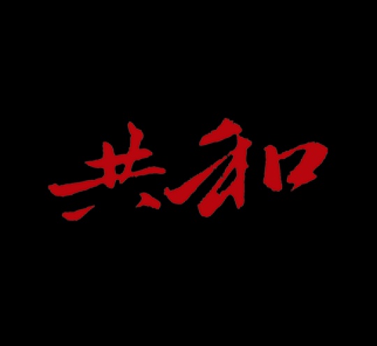 深圳市共和广告有限公司