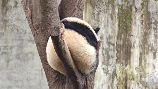代