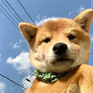 黄志民