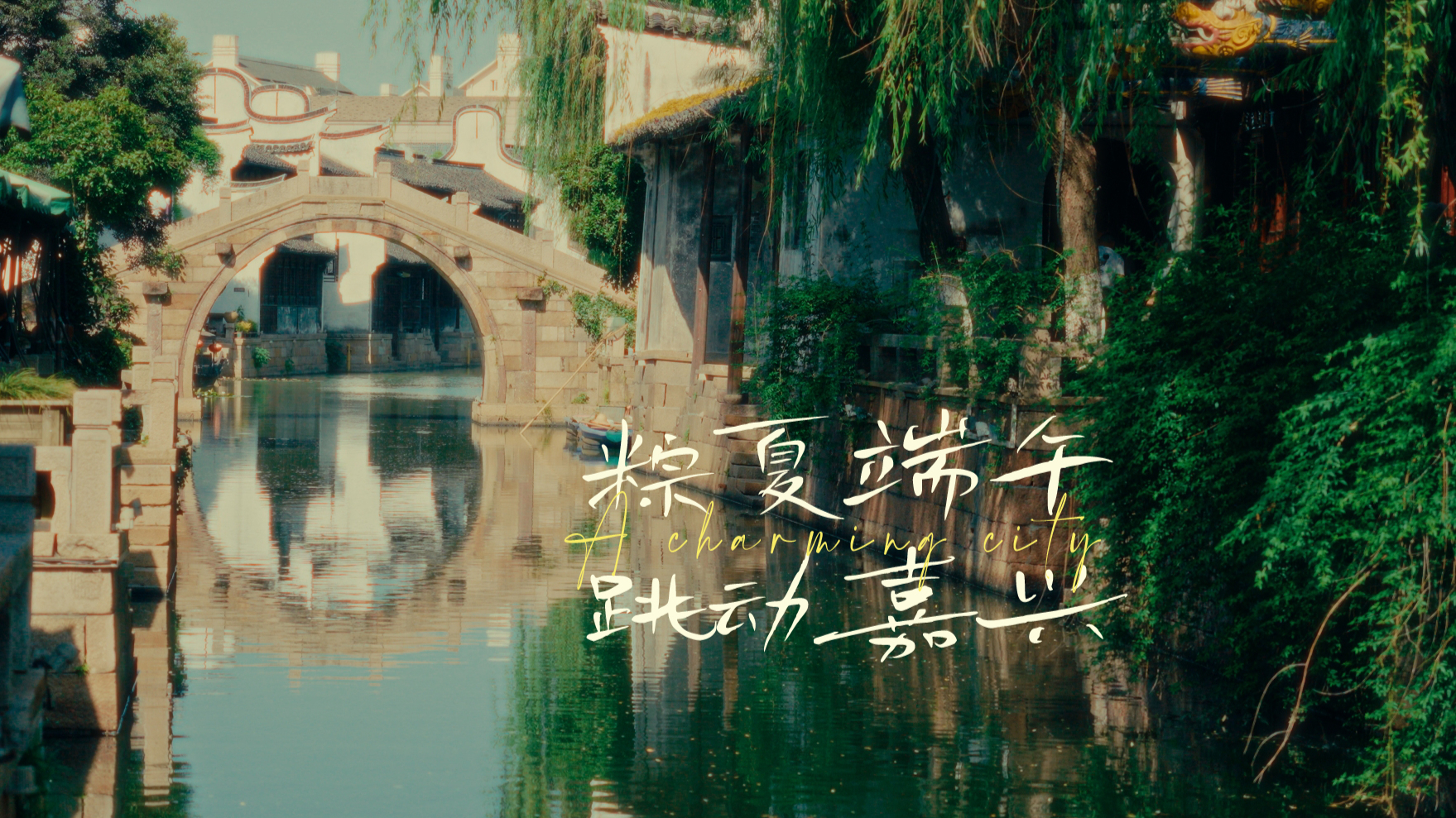 粽夏端午，跳动嘉兴｜旅拍短片