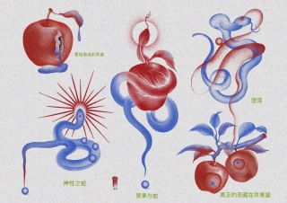 心有飞鸟