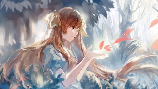 陆鸿杰