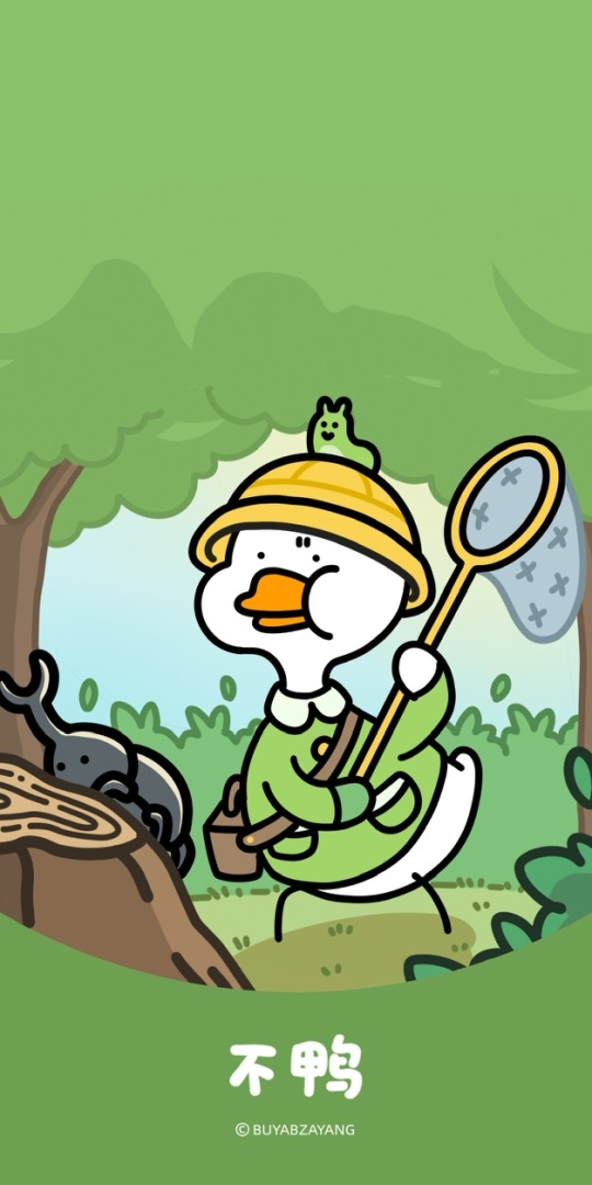 Acorn