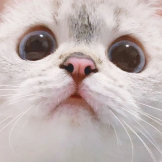 王一帆