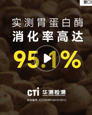 崔什么催
