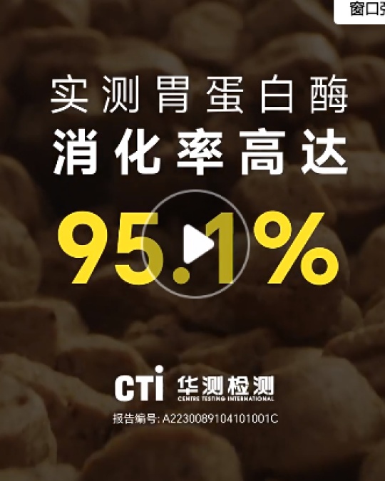 崔什么催