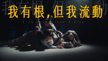 我有根 但我流动Dir