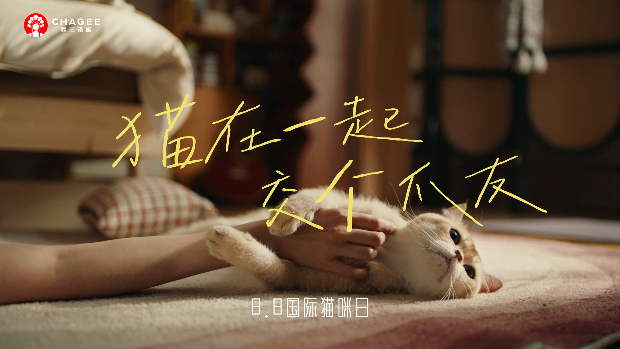 霸王茶姬｜8.8 国际猫咪日「 猫在一起 交个爪友 」