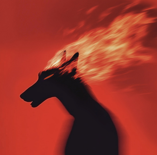 霍霍