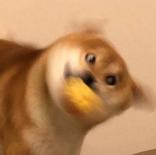 曾凡江