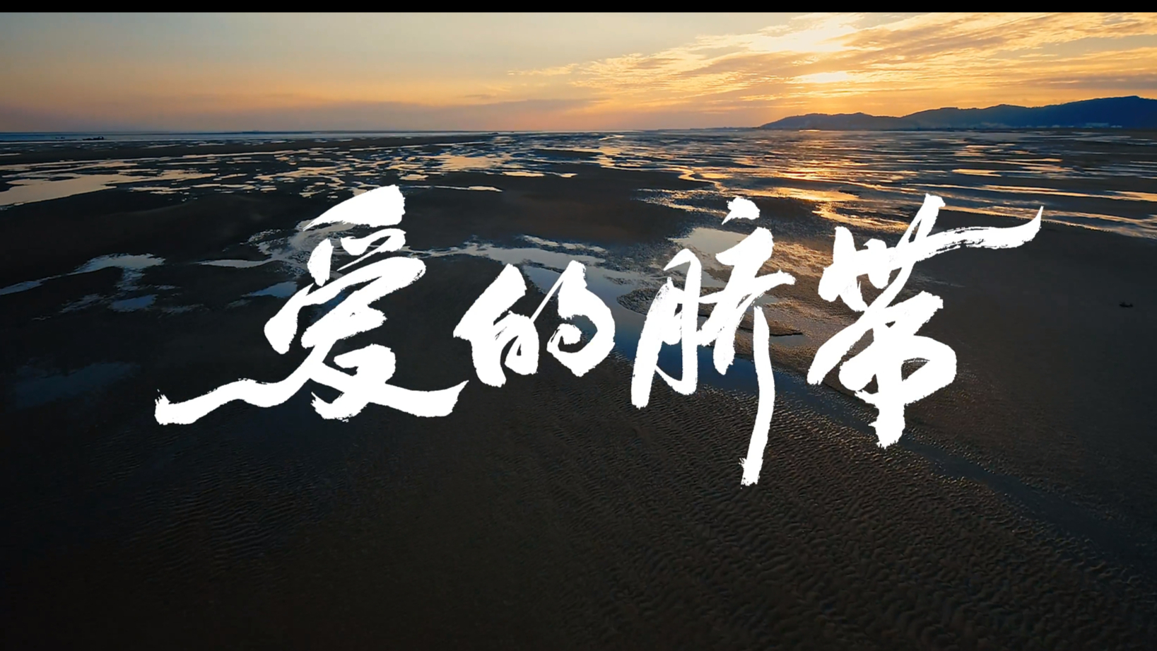 城市文旅宣传片《爱的脐带》｜湿地 环保 公益