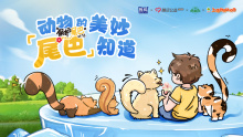甄稀｜保护尾巴计划