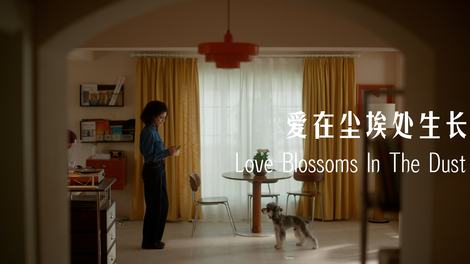 【爱在尘埃处生长】MOVA V50 ULTRA追觅扫地机-DIR