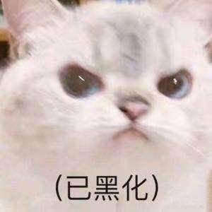 淀粉肠