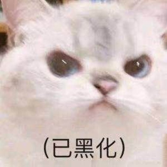 淀粉肠