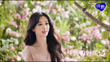蒙牛纯甄 x 杨紫 草莓芭乐新品TVC