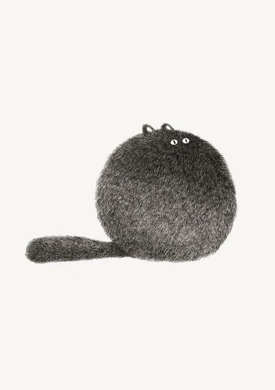 mic