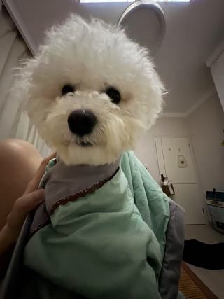 庄士远