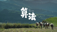 蚂蚁集团×数字木兰 | 算法