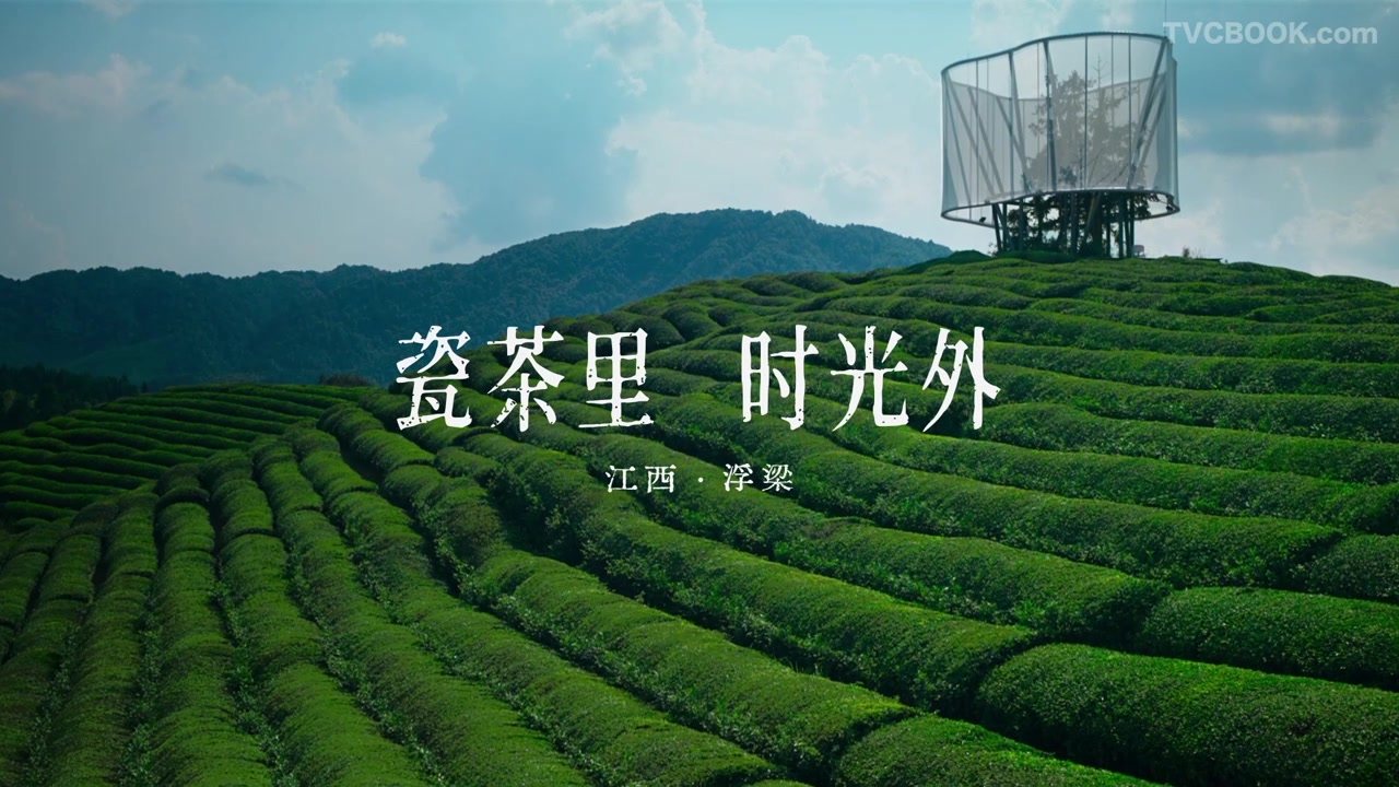 瓷茶里，时光外