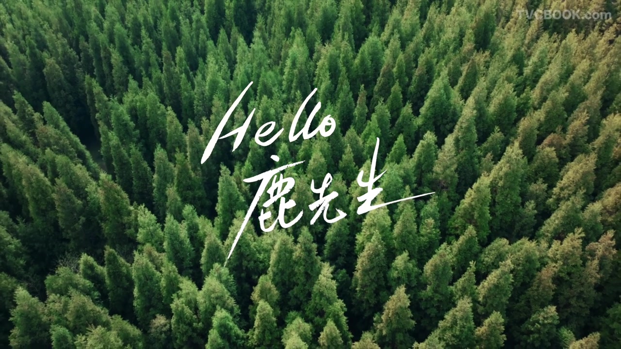 获奖微电影《hello, 鹿先生》“Odyssey SFA 可持续影像奖”最佳叙事奖
