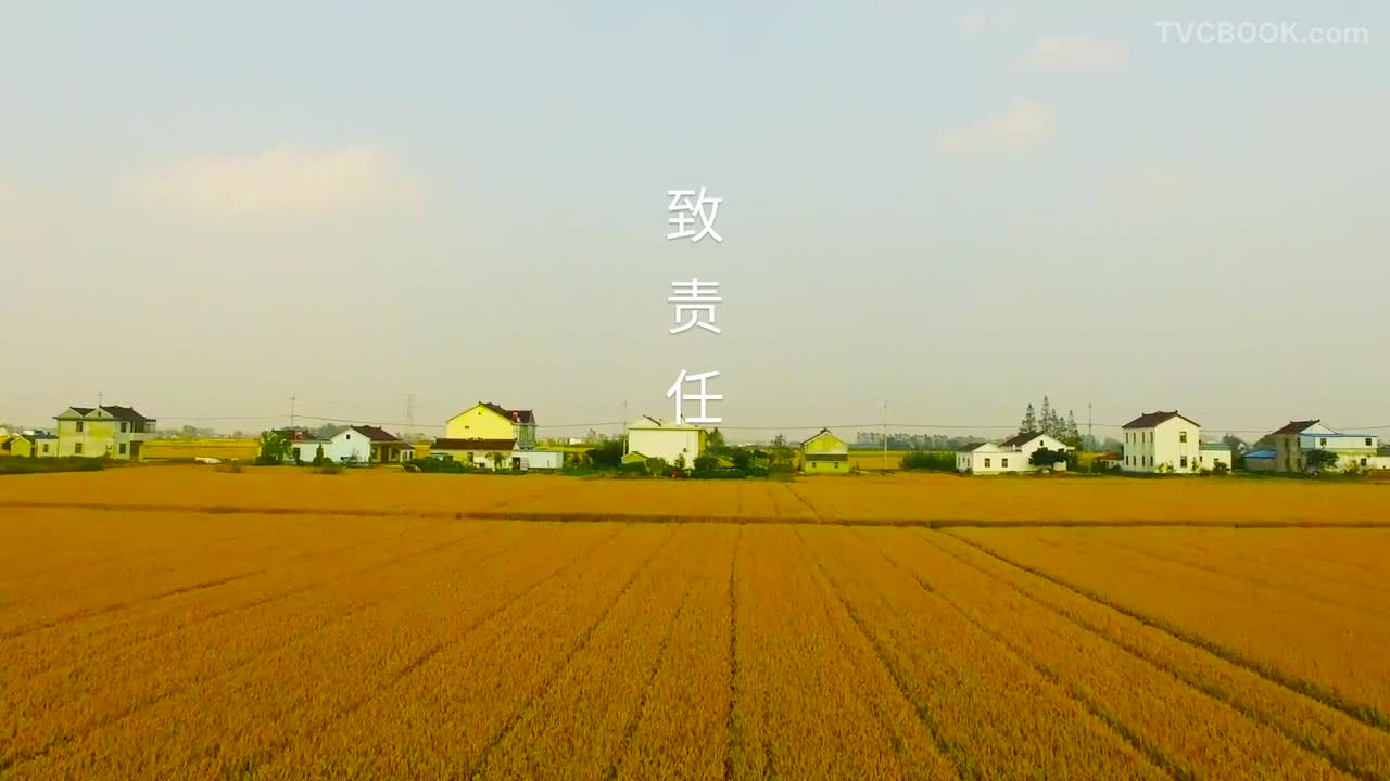 民生银行责任篇