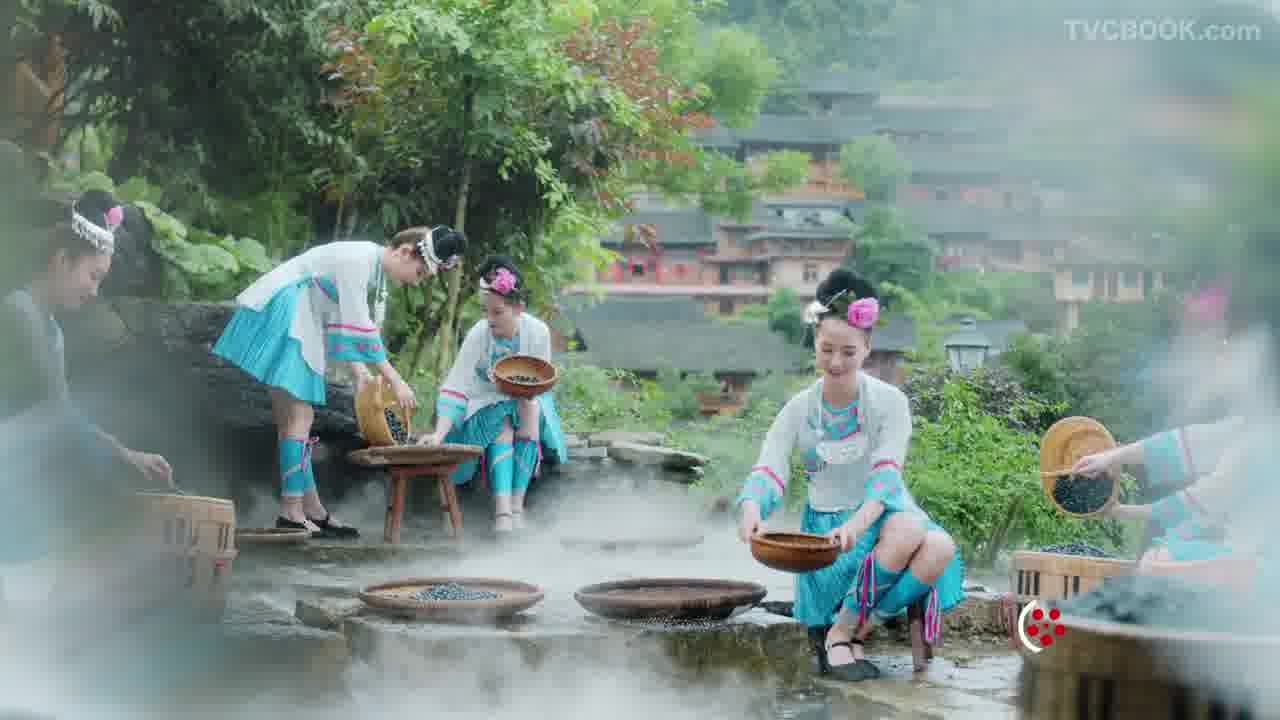 【黔东南·蓝莓TVC广告】