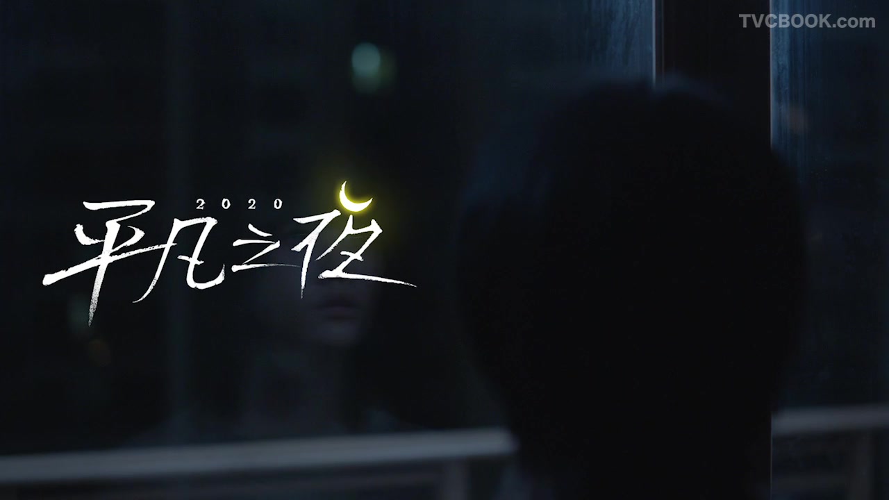VIVO-平凡之夜