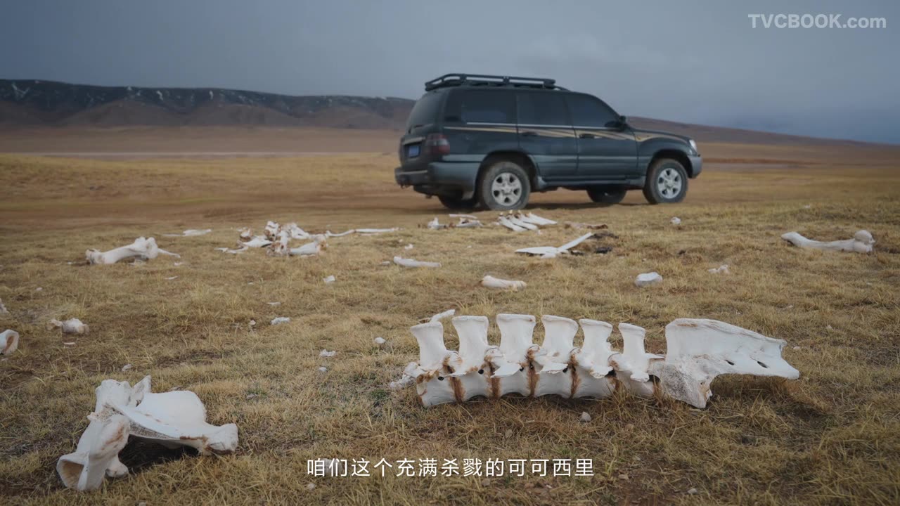 看见可可西里