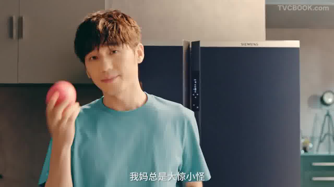 西门子恒鲜冰箱