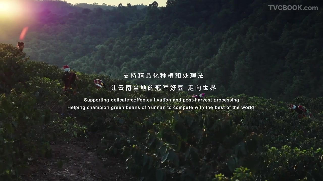 雀巢咖啡醇香无尽计划