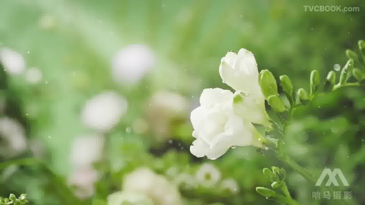 名创优品蝶恋花系列无火香薰