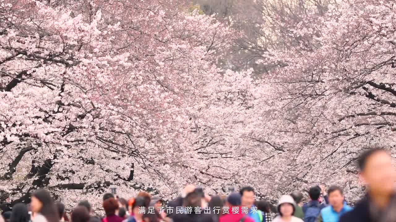 【阿里】蚂蚁金服智慧交通大会