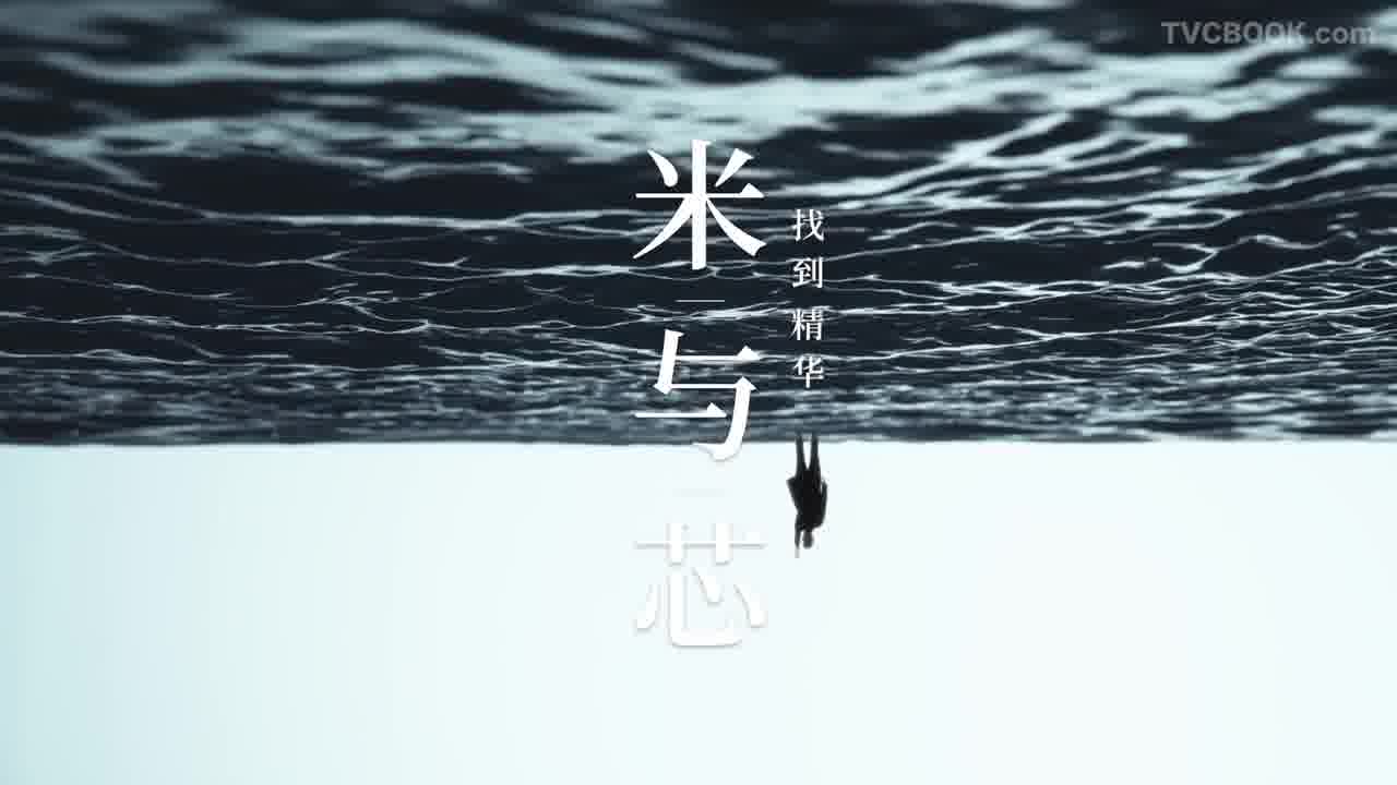 九江双蒸
