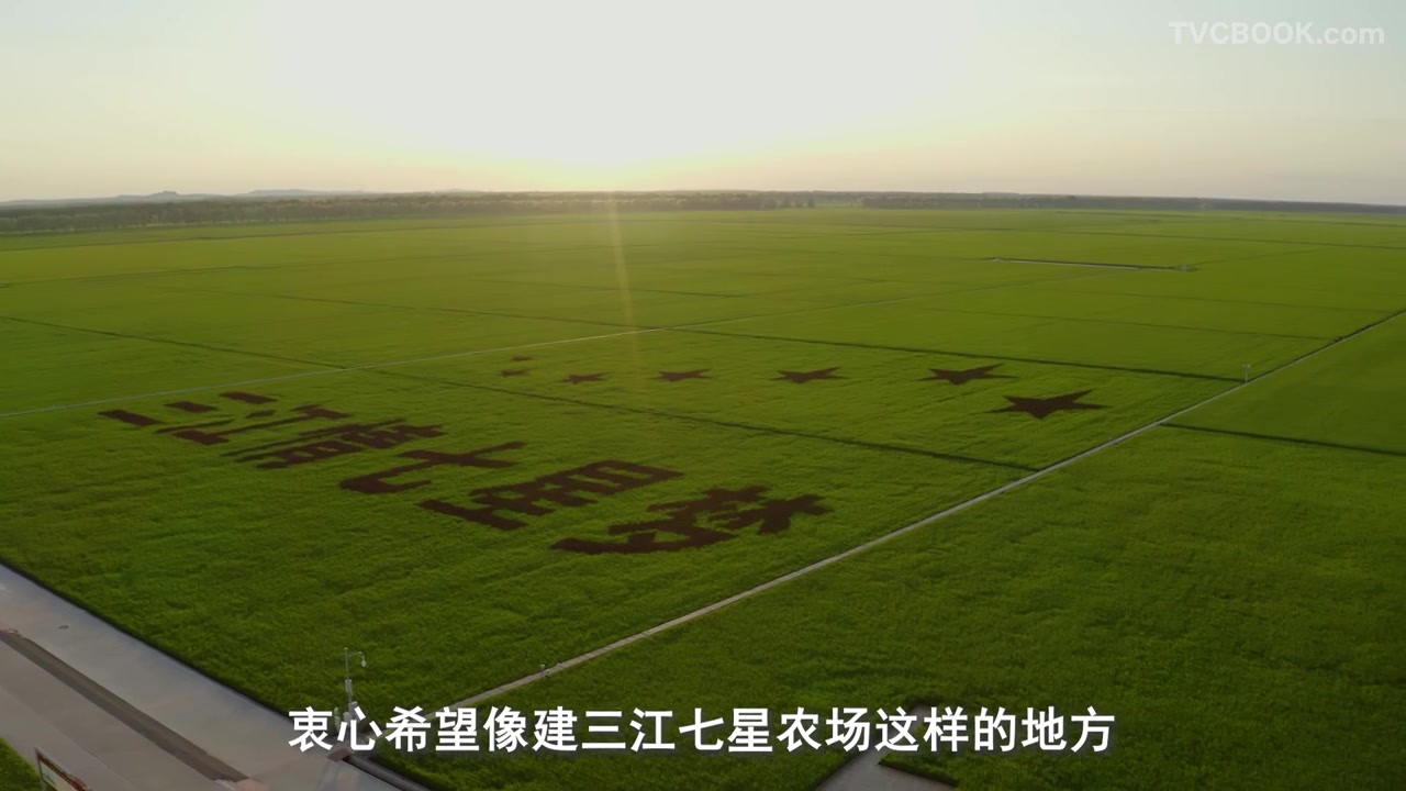 中化现代农业水稻侧深施肥技术专题片