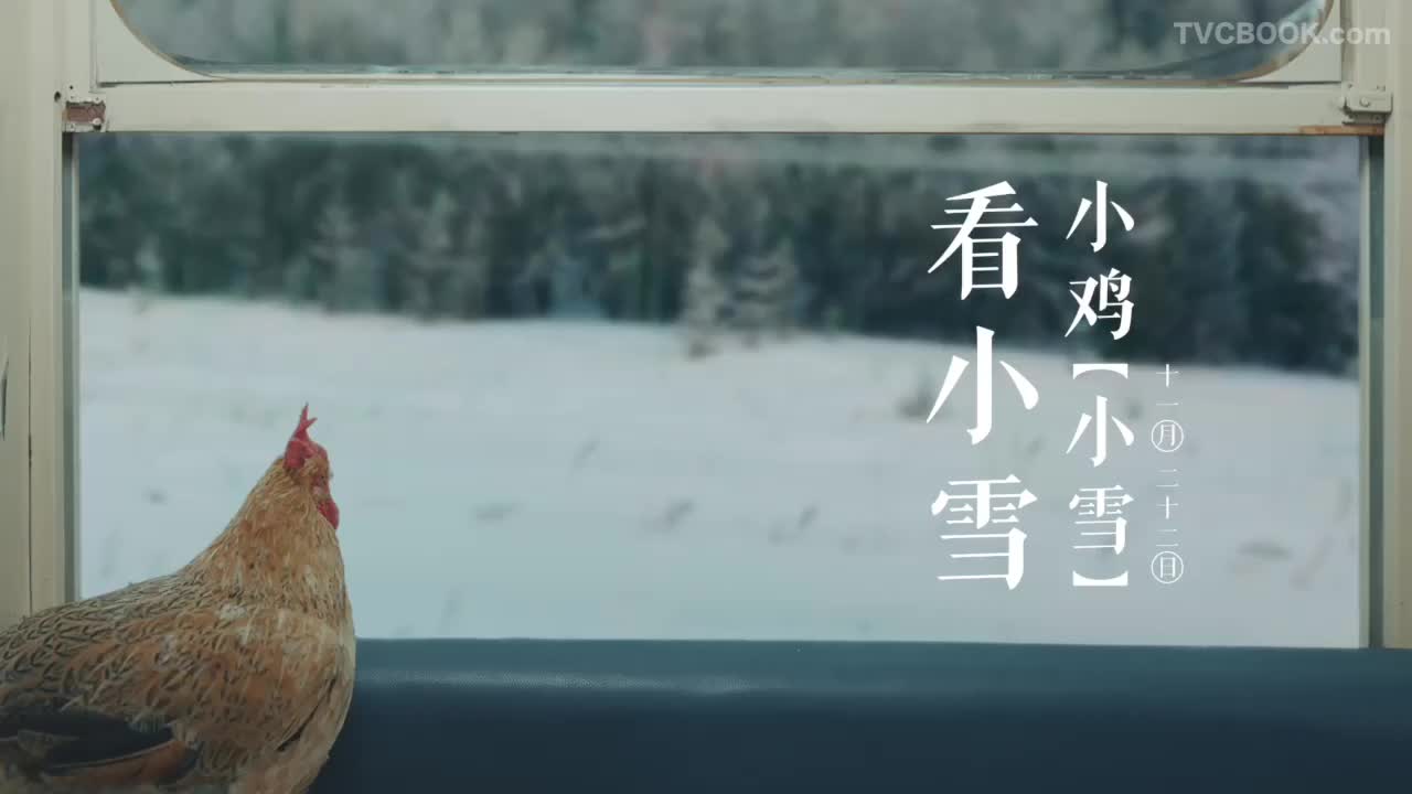今日小雪，宜吃鸡|饿了么小雪炸鸡