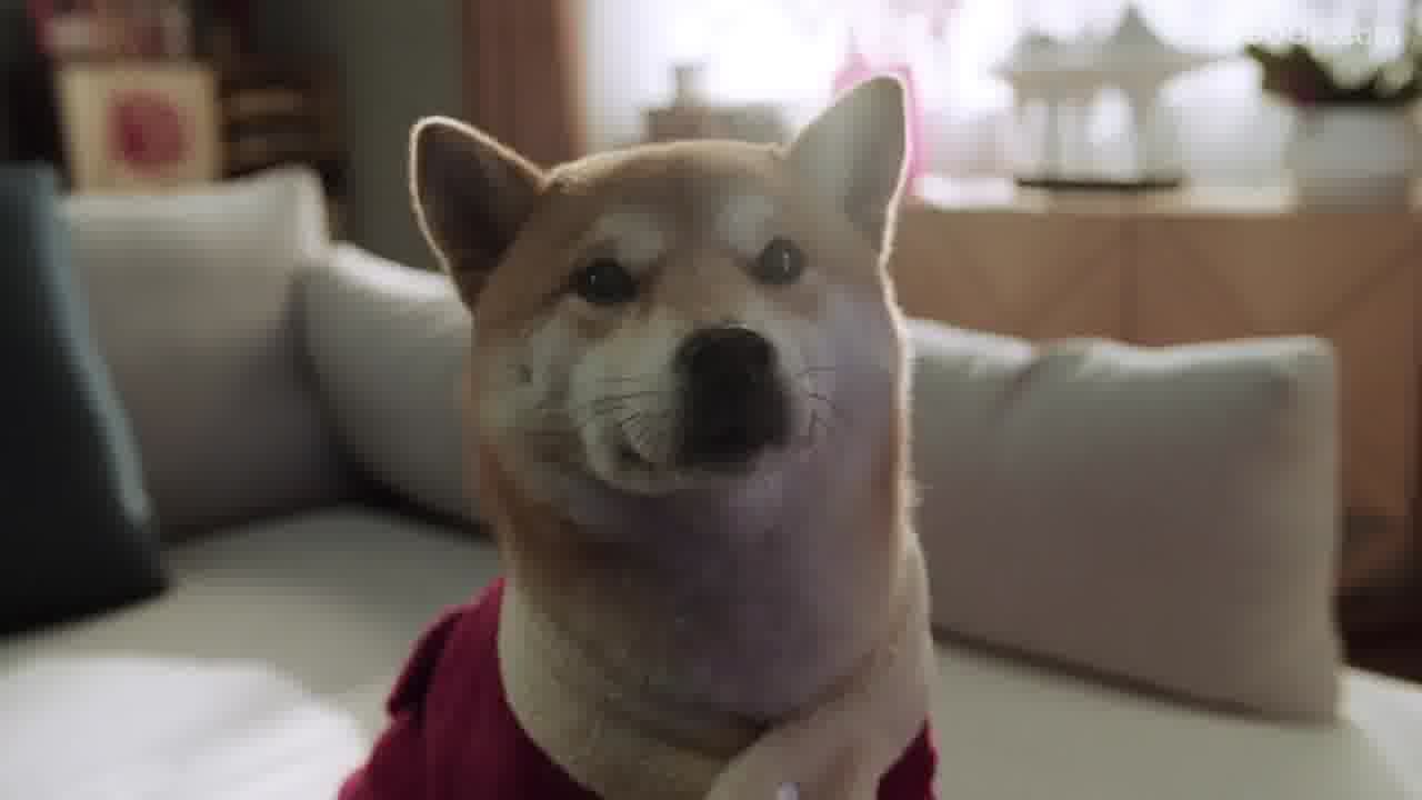 海尔春节篇