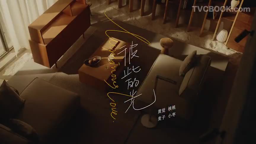 戴森：彼此的光