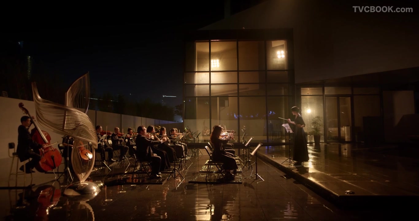 金地·生活的指挥家（DC）