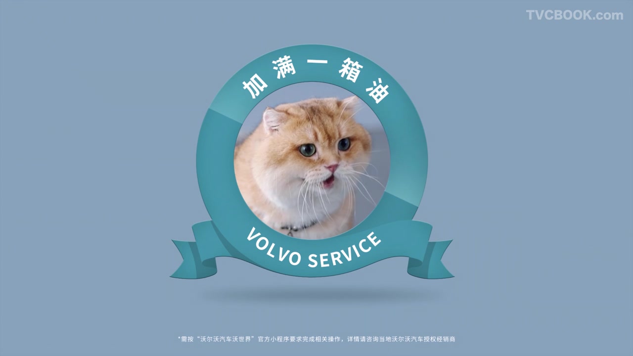 VOLVO 沃尔沃猫咪星球