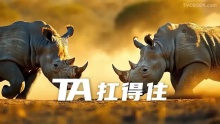 锋兰达——为您的出现保驾护航