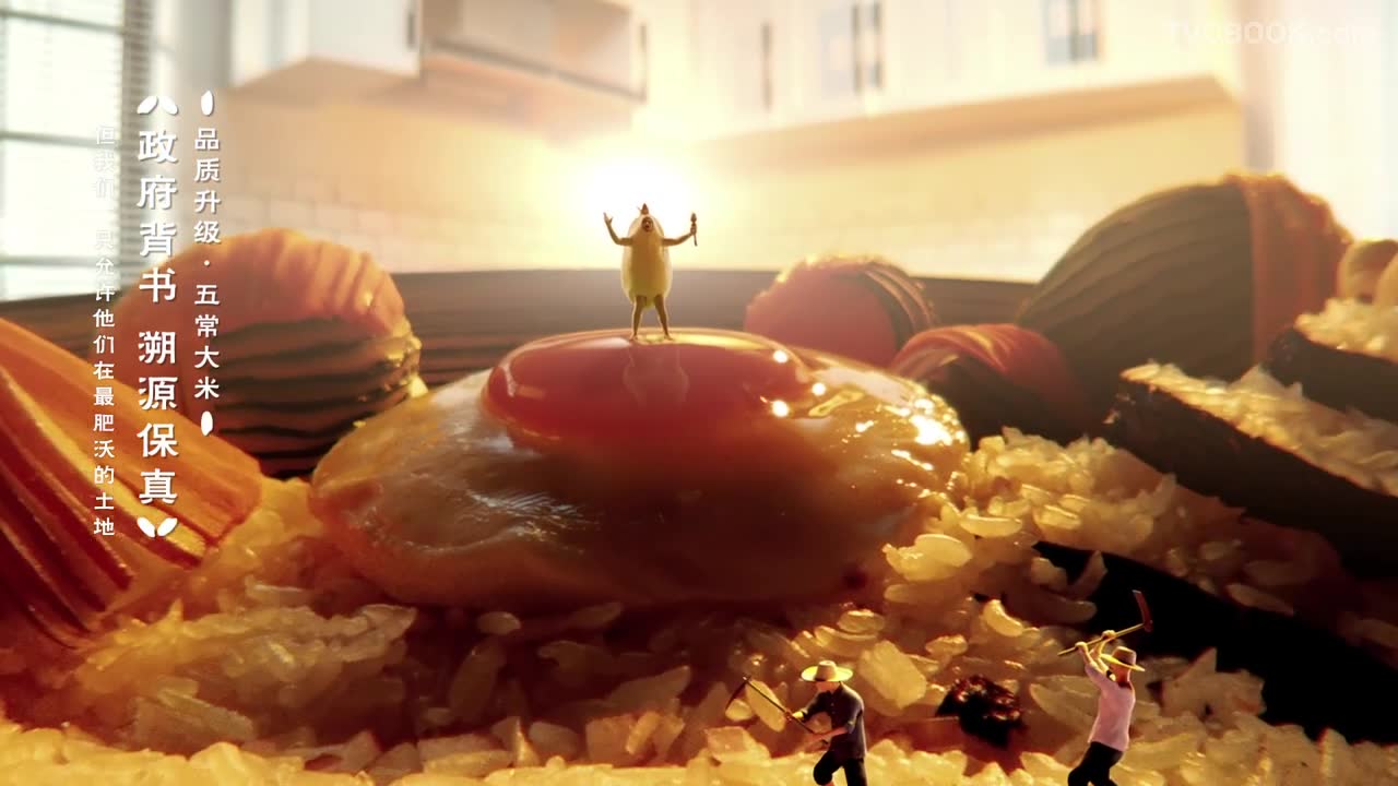 天猫超级品类日.大米专场 【大米进化论】 TVC