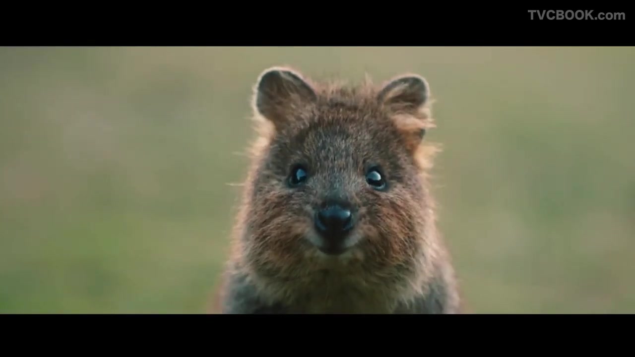 Tourism Australia - Be the First