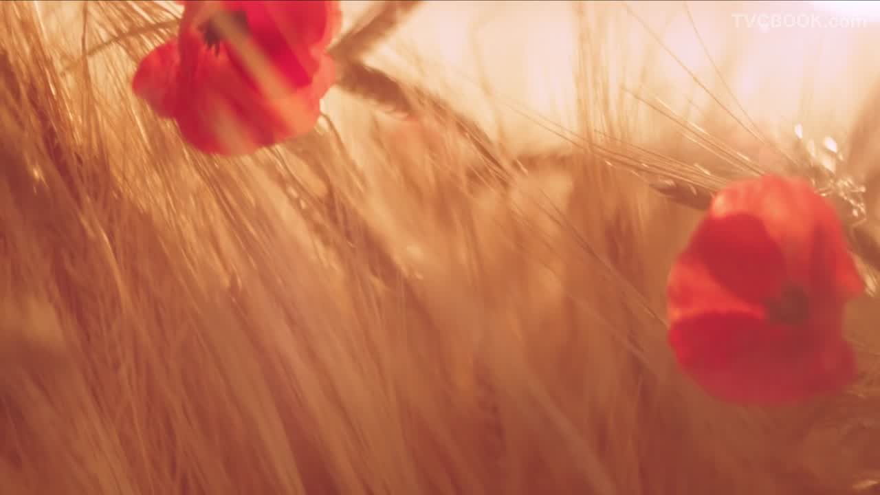 Jo Malone - English Fields - Owen Silverwood