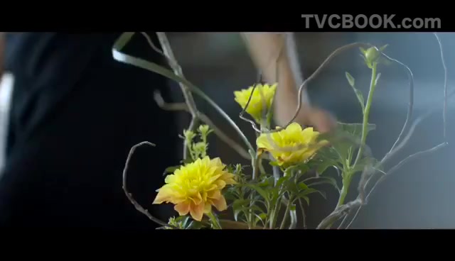 商业地产-酒店宣传视频